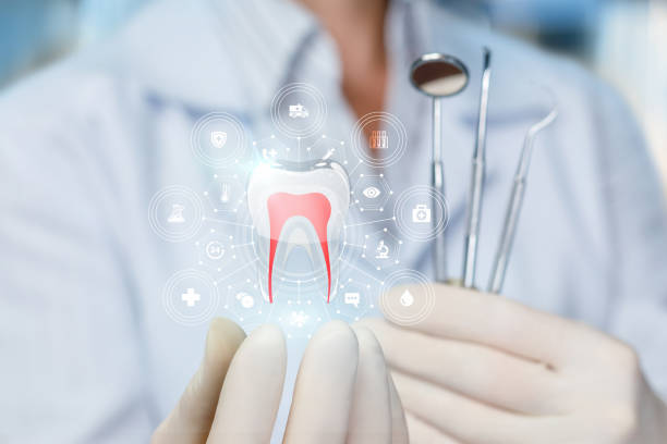 Reliable Middleburg, FL Dental Services Solutions